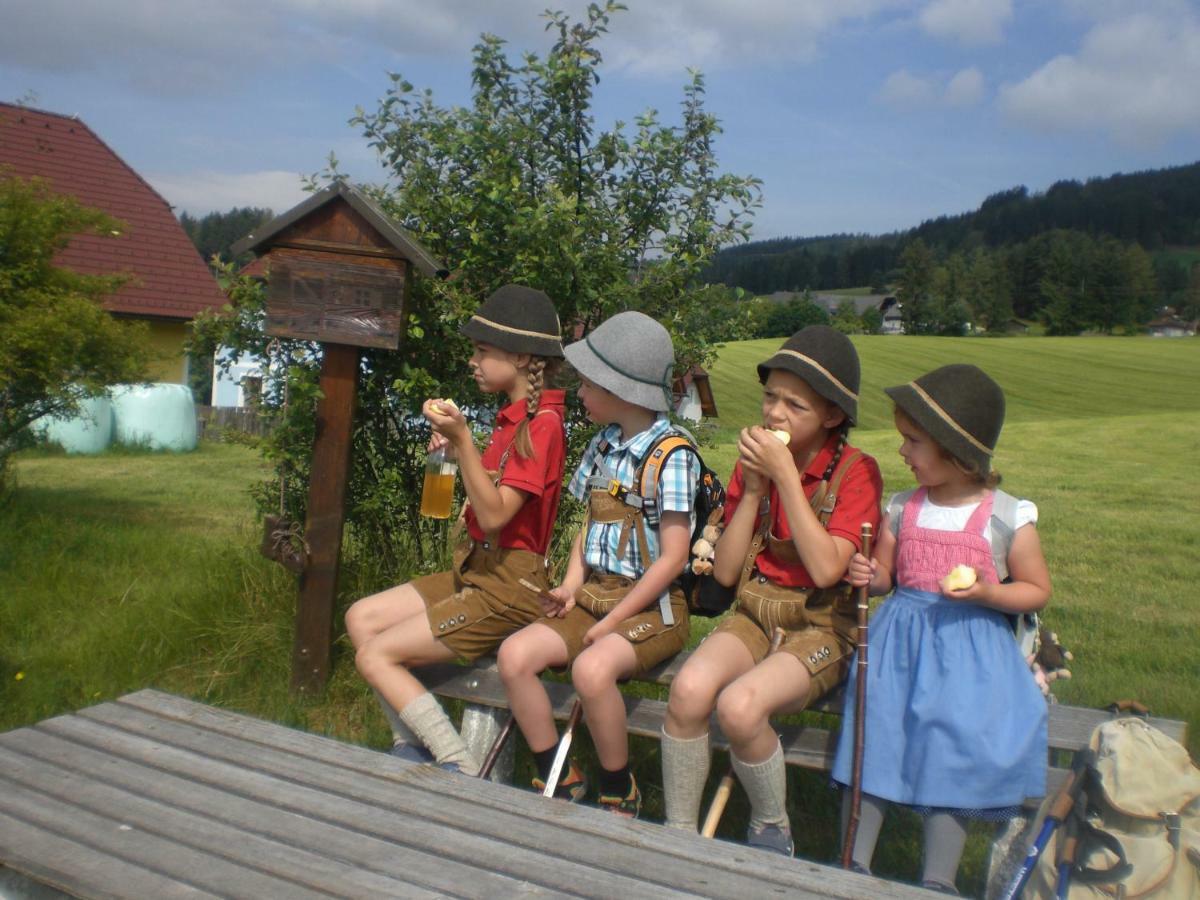 Urlaub Am Bauernhof Grabenhofer Villa Sankt Jakob im Walde Exteriör bild