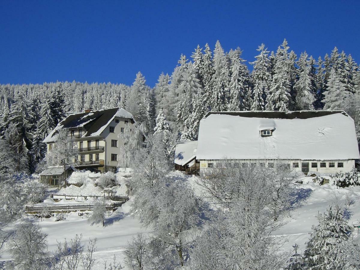 Urlaub Am Bauernhof Grabenhofer Villa Sankt Jakob im Walde Exteriör bild