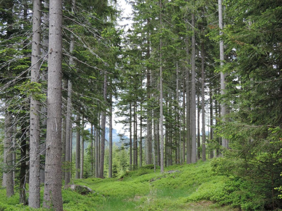 Urlaub Am Bauernhof Grabenhofer Villa Sankt Jakob im Walde Exteriör bild