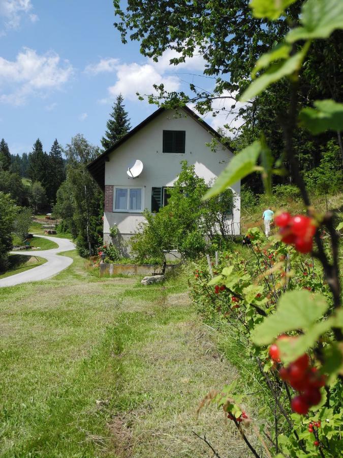 Urlaub Am Bauernhof Grabenhofer Villa Sankt Jakob im Walde Exteriör bild